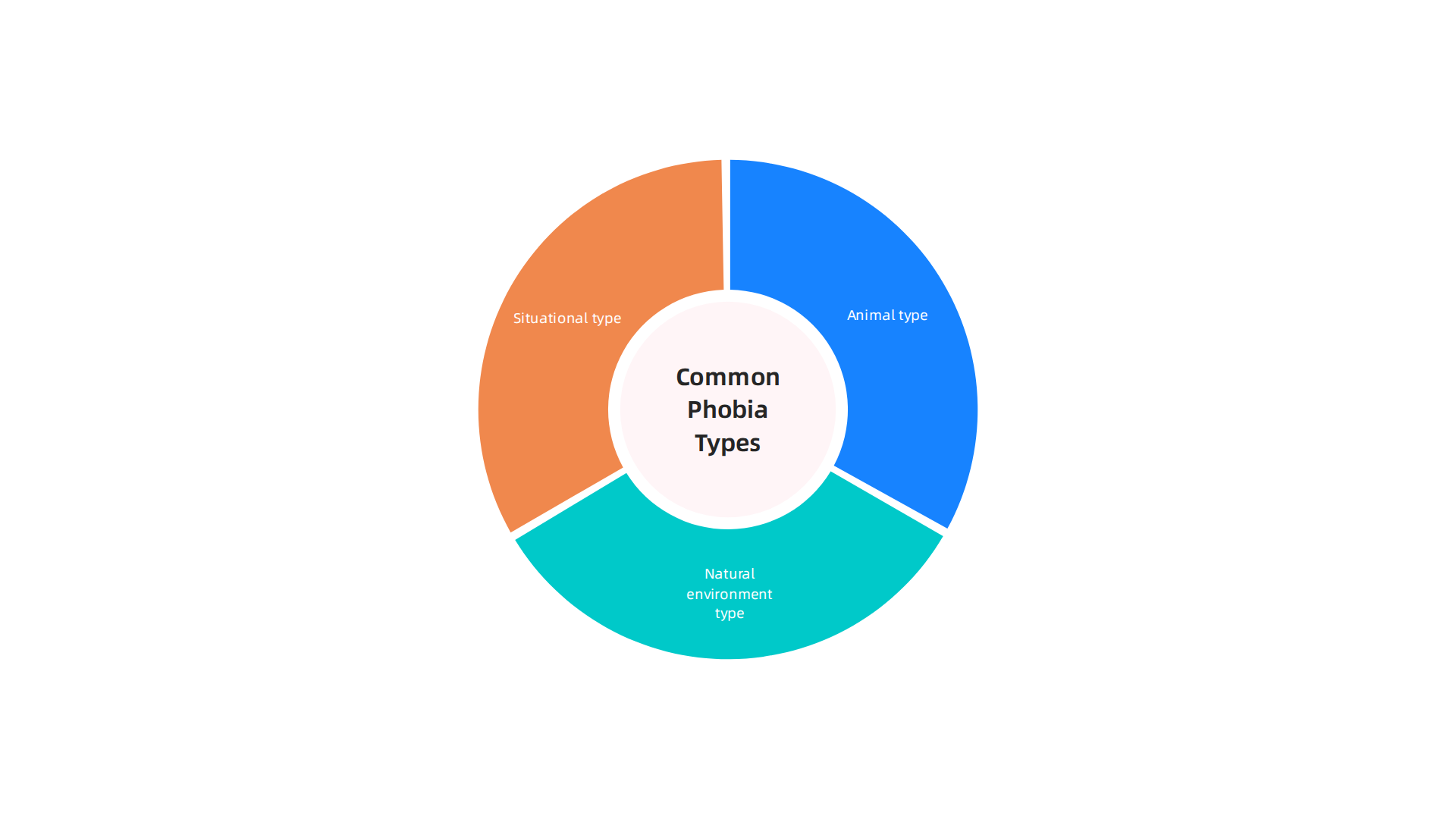 An infographic illustrating the most common categories of specific phobias.