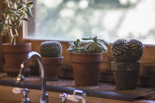 This article gives a clear, evidence-based roadmap for treating obsessive-compulsive disorder (OCD) and postpartum depression (PPD) in 2026, explaining how the...