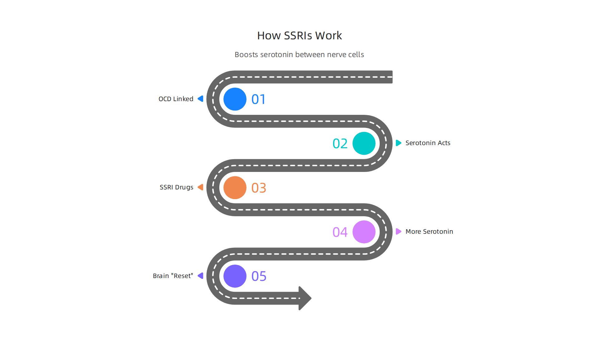 Visual explanation of how Selective Serotonin Reuptake Inhibitors (SSRIs) function to balance brain chemistry and reduce OCD symptoms.
