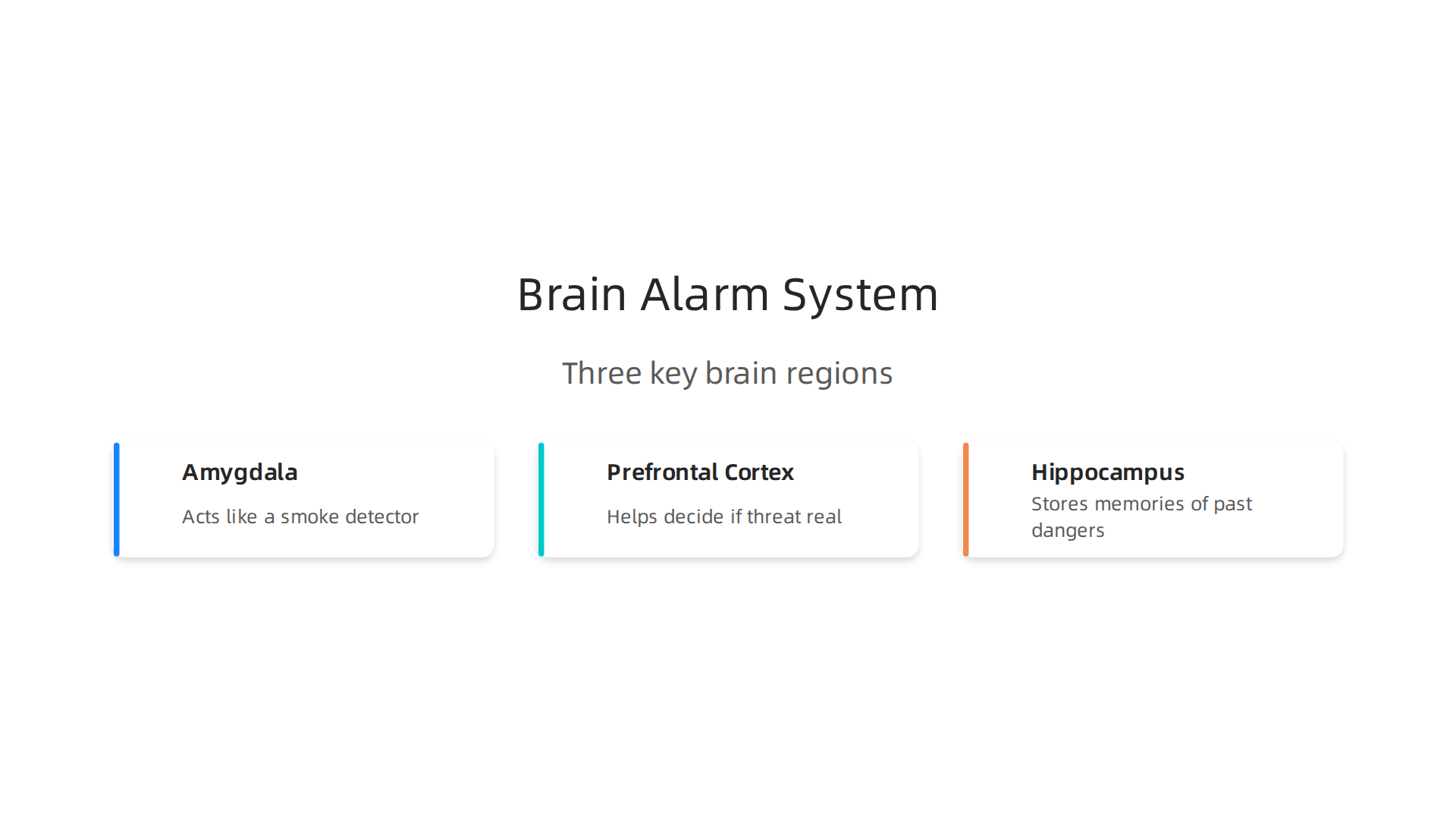 Explore the three key brain regions responsible for the body's natural alarm system and anxiety response.