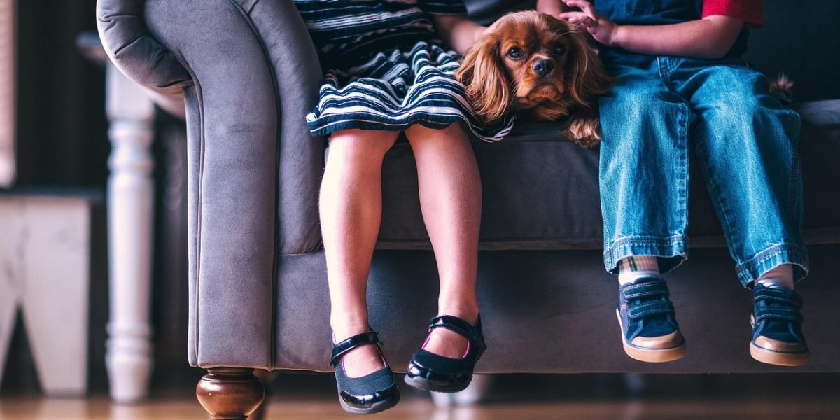 Support from family and friends is a vital component of holistic care for individuals managing bipolar disorder.