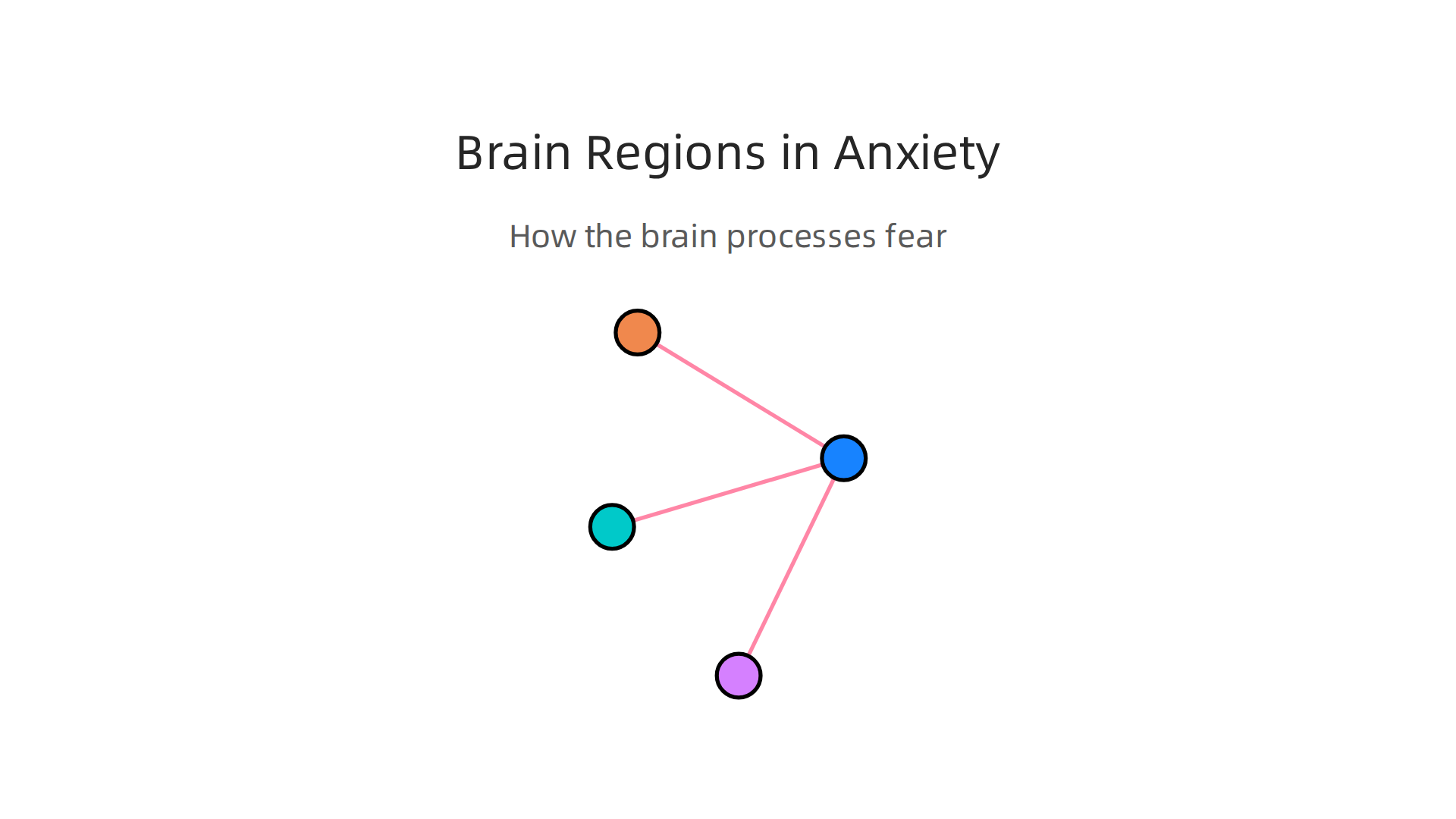 Visualizing the brain regions involved in processing fear and anxiety, and how they interact.