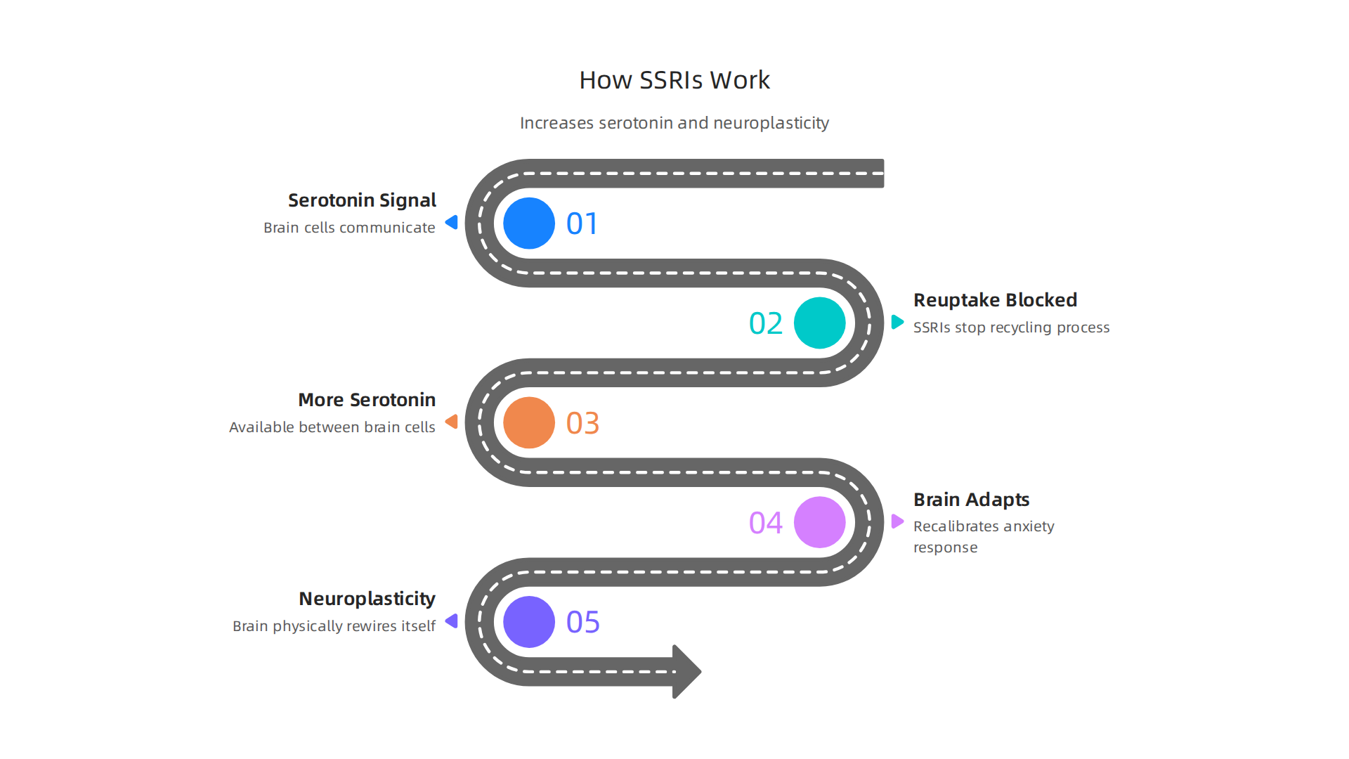 Visual explanation of how Selective Serotonin Reuptake Inhibitors (SSRIs) increase serotonin availability and promote neuroplasticity.