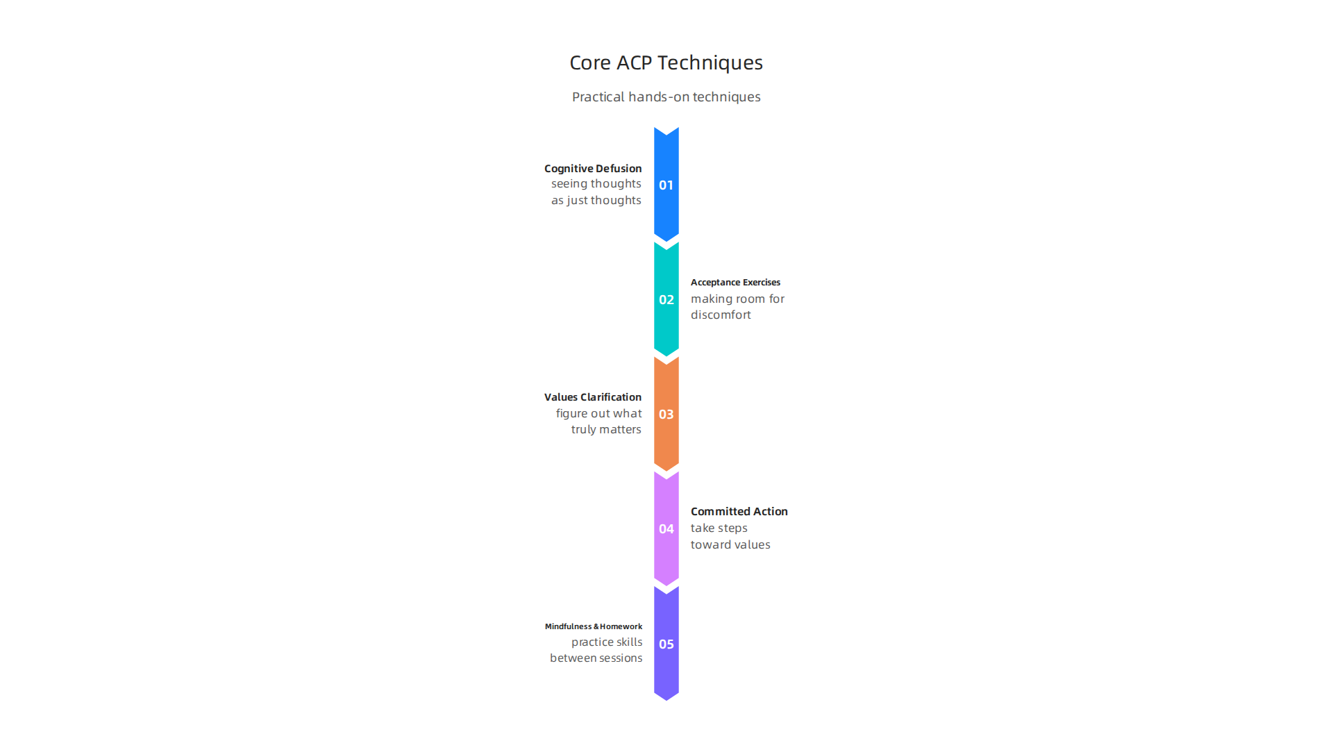 Key techniques used in Acceptance and Commitment Process (ACP) programs to manage anxiety effectively.